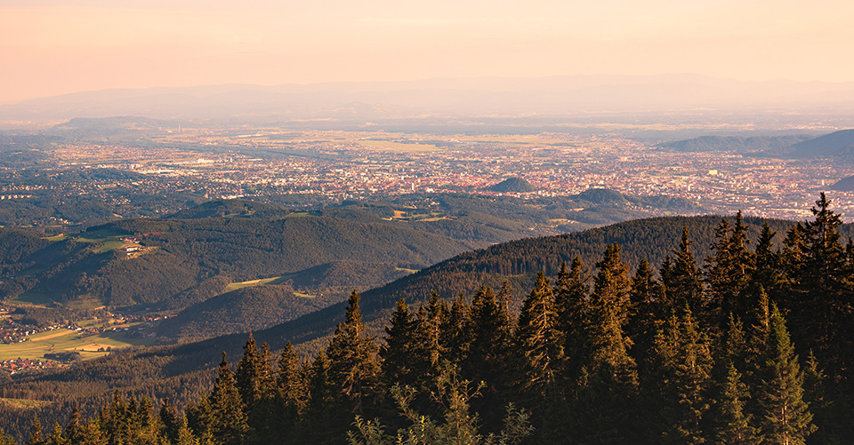 77vintido sbarca in Austria