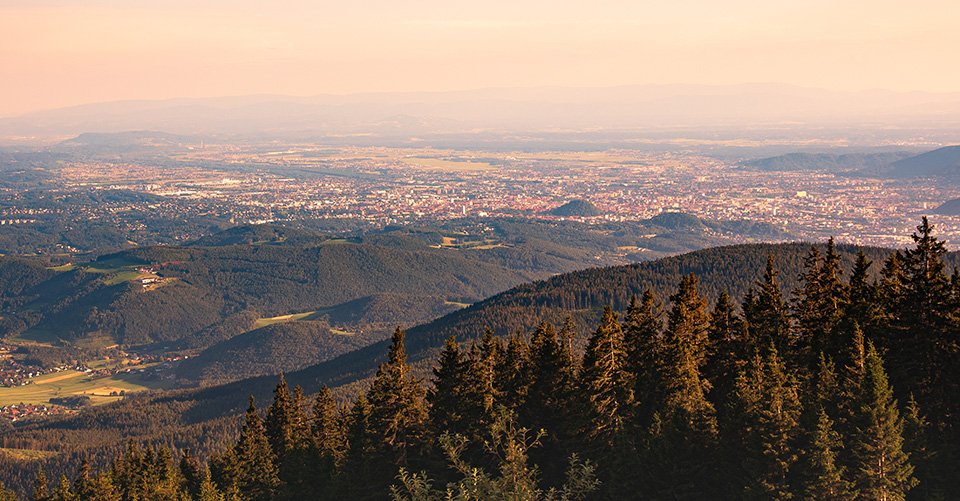 77vintido sbarca in Austria