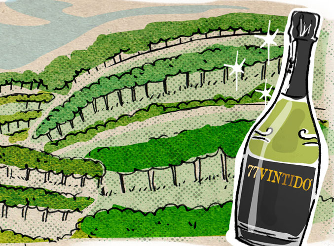 77vintido | Kleine italienische Weinkellereien