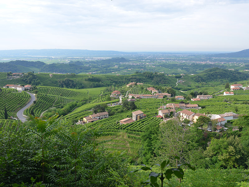 77vintido | Valdobbiadene's territory of Prosecco