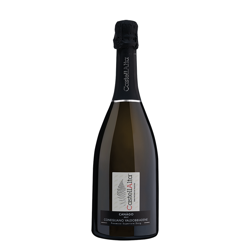 77vintido - CastellAlta